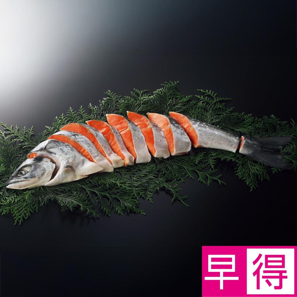 【お歳暮 ギフト早得】タカヒロ 熟成塩紅鮭　海洋深層水仕込み半身（甘塩味） 商品サムネイル