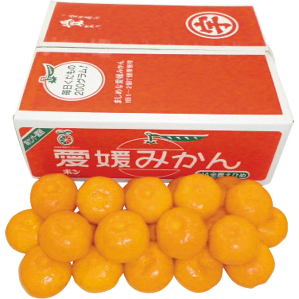 【お歳暮 ギフト】愛媛県産（ＪＡえひめ南玉津選果場） 玉津みかん 商品サムネイル