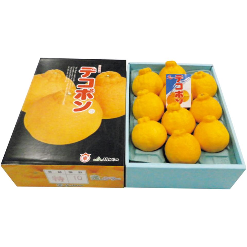 【冬の贈りもの】佐賀県産（唐津農業協同組合） デコポン 商品サムネイル