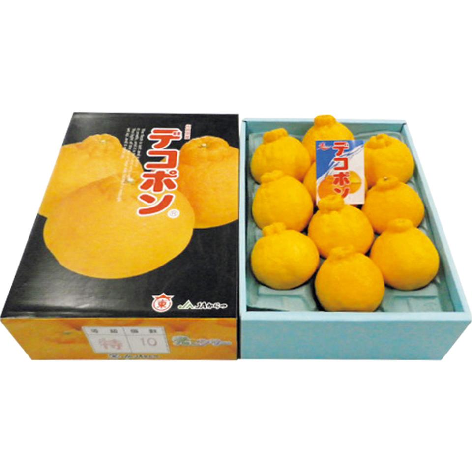 【お歳暮 ギフト】佐賀県産（唐津農業協同組合） デコポン 商品サムネイル