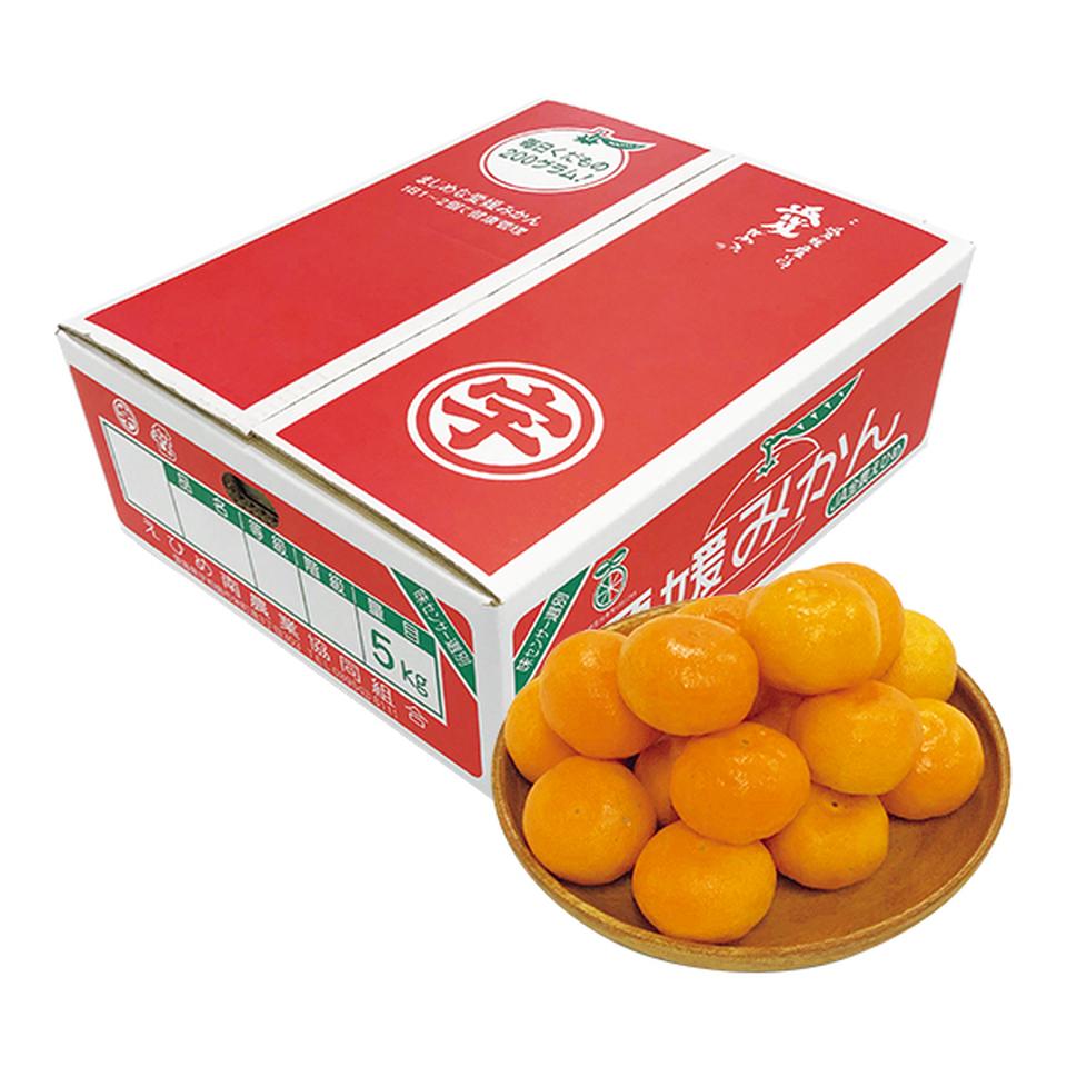 【お歳暮 ギフト】愛媛県産（ＪＡえひめ南玉津選果場） 自宅用　玉津みかん　（小粒） 商品サムネイル