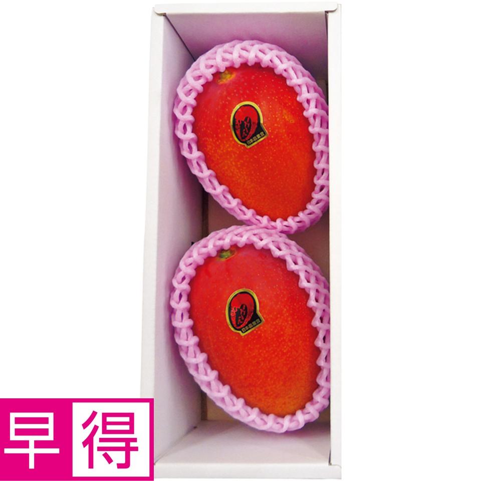 【母の日早得】宮崎県産（ＪＡ西都）宮崎マンゴー２個化粧箱 商品サムネイル