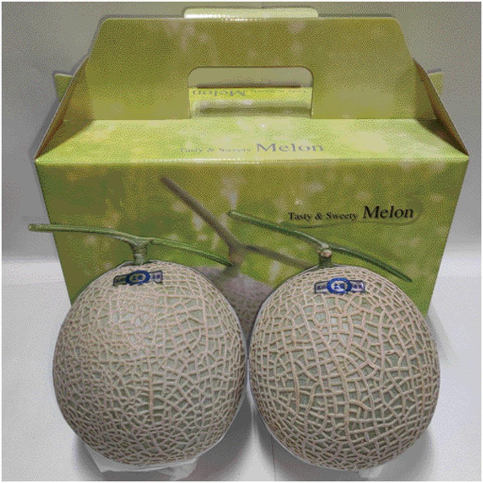 【母の日早得】高知県産アールスメロン　２個 商品サムネイル