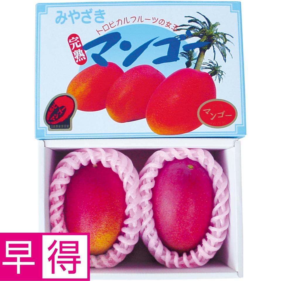 【父の日早得】宮崎県産（ＪＡ西都）宮崎マンゴー２個化粧箱 商品サムネイル
