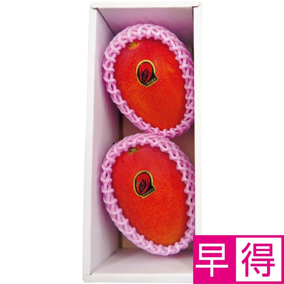 【父の日早得】宮崎県産（ＪＡ西都）宮崎マンゴー２個化粧箱 商品サムネイル