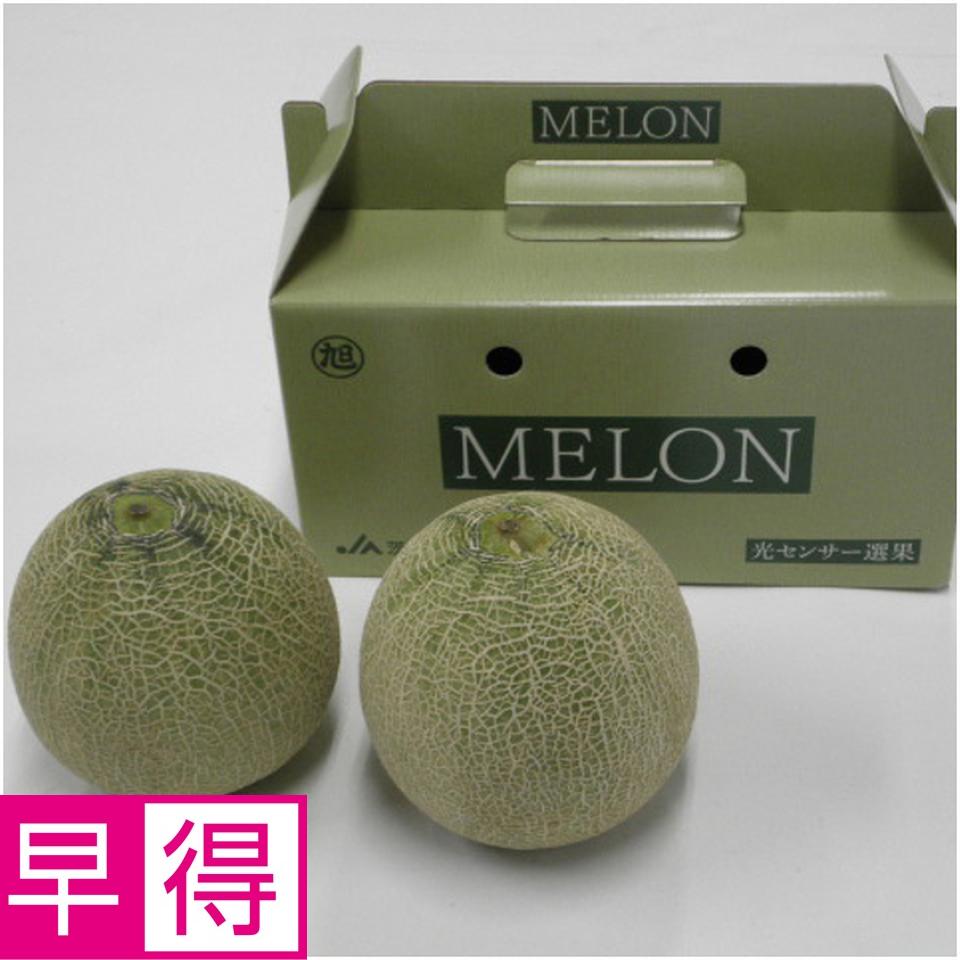 【父の日早得】茨城県産クインシーメロン　２個 商品サムネイル