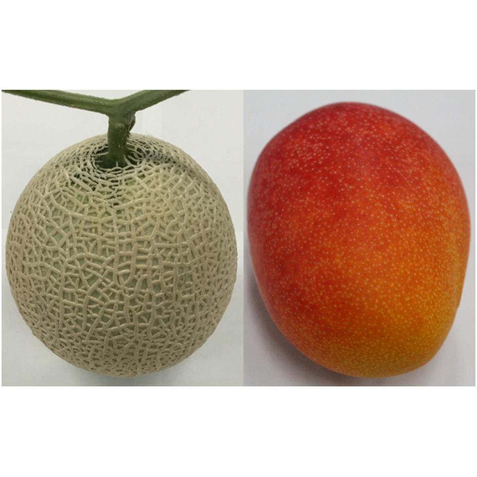 【父の日】熊本県産・宮崎県産アールスメロン・宮崎マンゴー　各１個 商品サムネイル