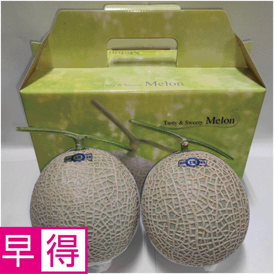 【父の日早得】高知県産アールスメロン　２個 商品サムネイル