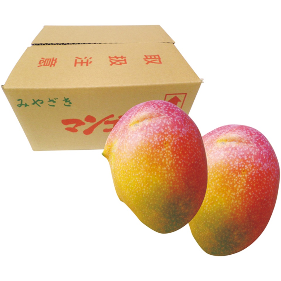 【夏の贈りもの】宮崎県産（ＪＡ西都） わけありマンゴー（自宅用） 商品サムネイル