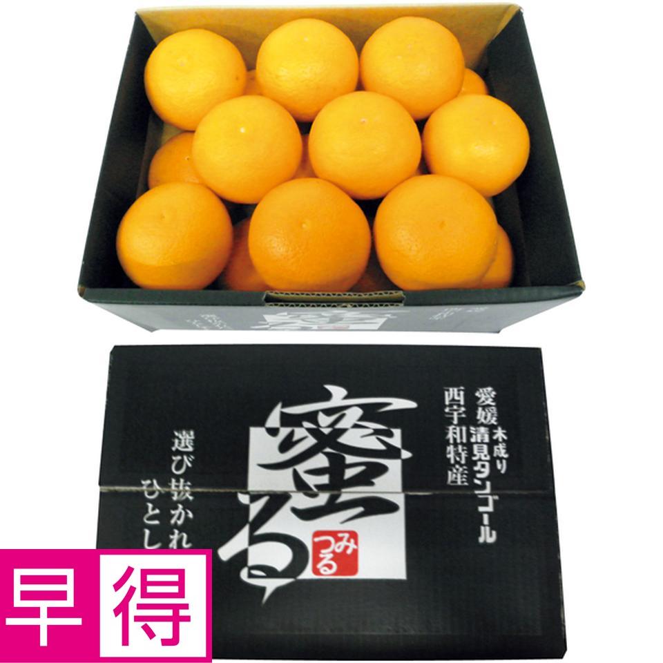 【母の日早得】愛媛県産蜜る清見オレンジ 商品サムネイル