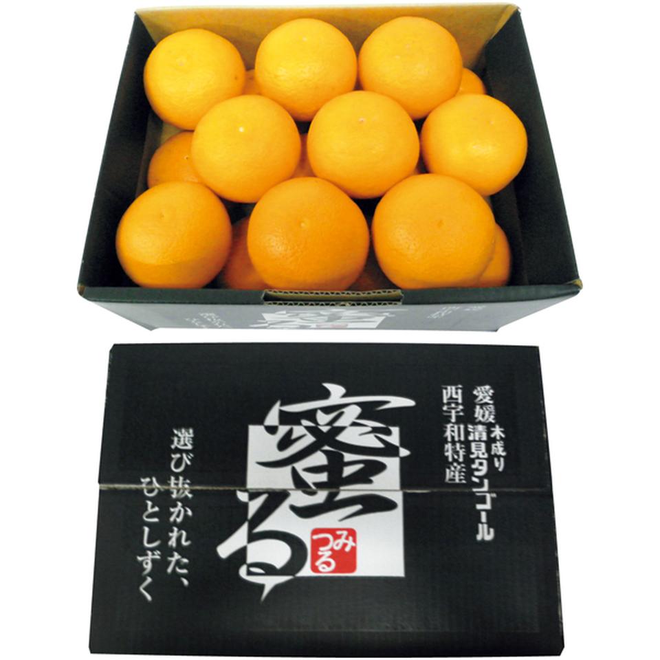 【母の日早得】愛媛県産蜜る清見オレンジ 商品サムネイル