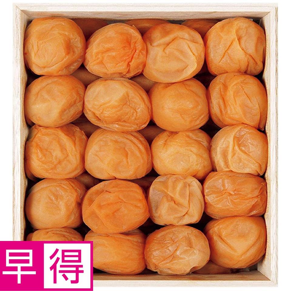 【夏の贈りもの早得】和歌山ノーキョー食品　紀州南高梅うす塩味梅干５００ｇ 商品サムネイル