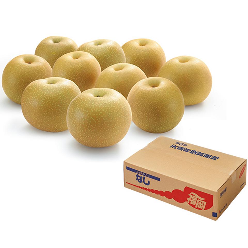 【夏の贈りもの】福岡県産（ＪＡふくおか八女）　幸水梨　１０個又は１２個、計５ｋｇ以上 商品サムネイル