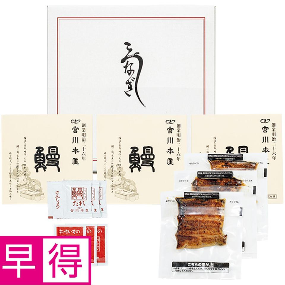 【夏の贈りもの早得】つきじ宮川本廛　炭火うなぎ蒲焼　切身３枚セット 商品サムネイル