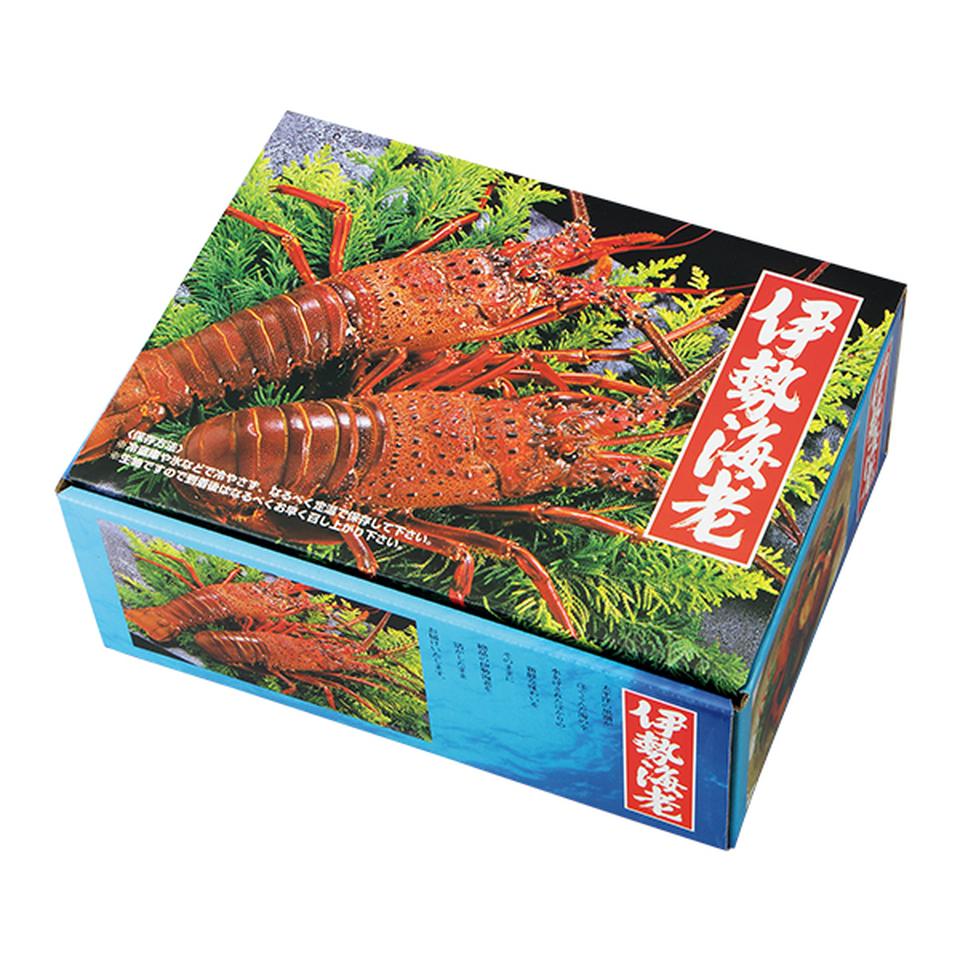 【お歳暮 ギフト早得】ヤマソ水産 三重県志摩浜島産 活伊勢海老2尾入り 700g以上 商品画像(1)