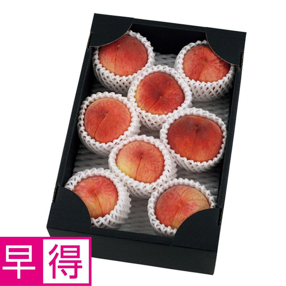 【夏の贈りもの早得】福島県産（飯坂）　若手生産者、木村さんたちの自慢の白桃 商品サムネイル