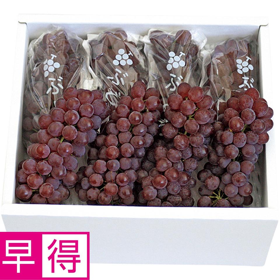 【夏の贈りもの早得】山形県産　デラウェア秀品６～８房、計１．３ｋｇ 商品サムネイル