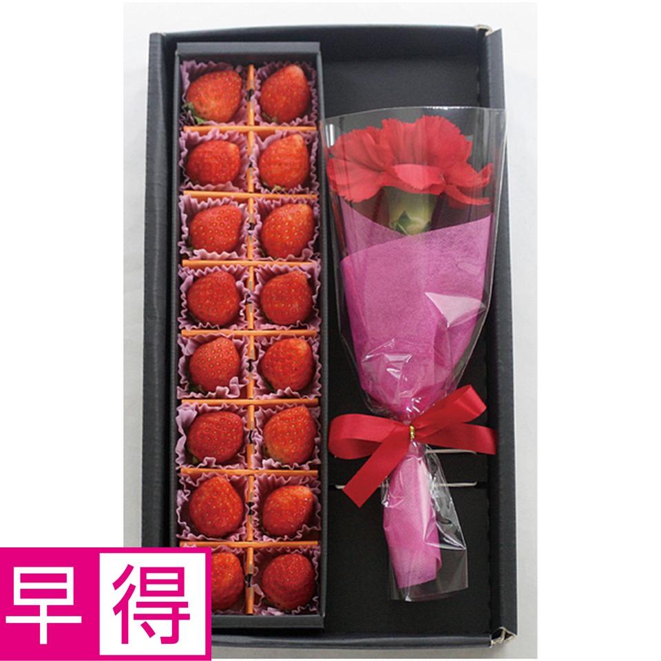 【母の日早得】宮城県産いちご＆カーネーション 商品サムネイル