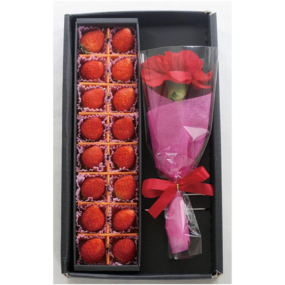 【母の日早得】宮城県産いちご＆カーネーション 商品サムネイル