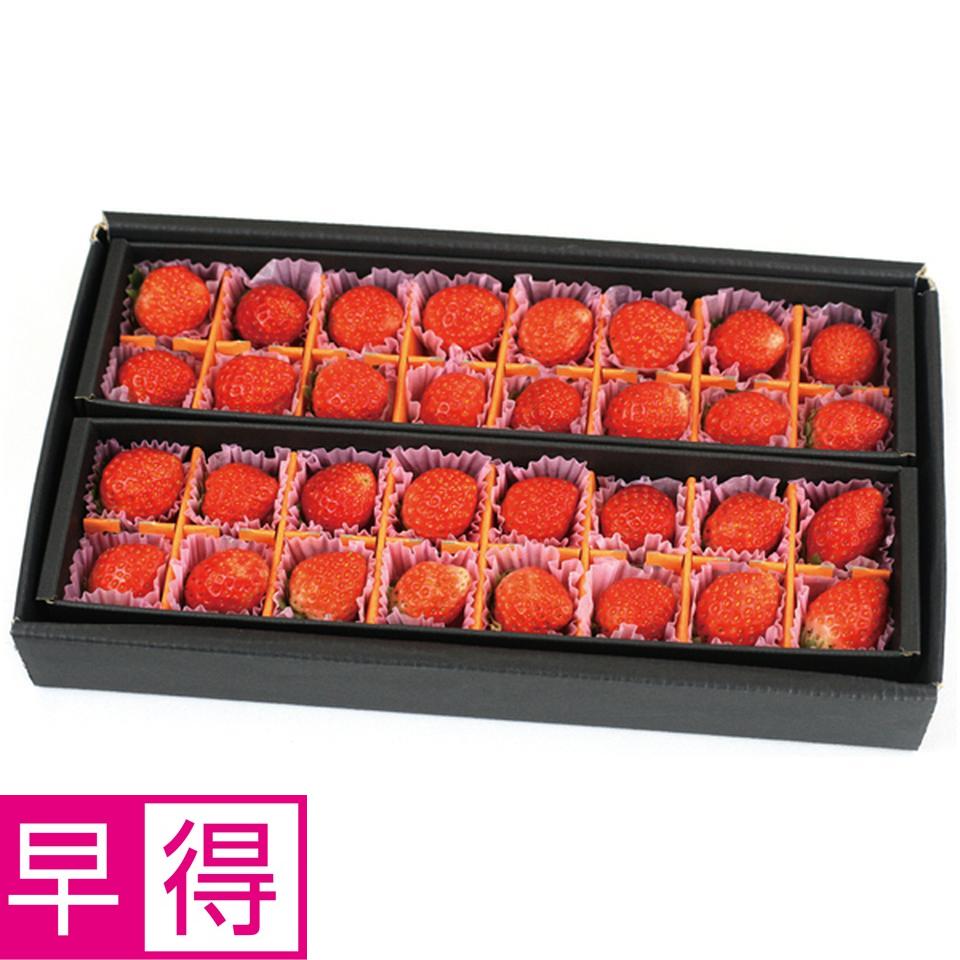 【母の日早得】宮城県産母の日いちご（とちおとめ） 商品サムネイル