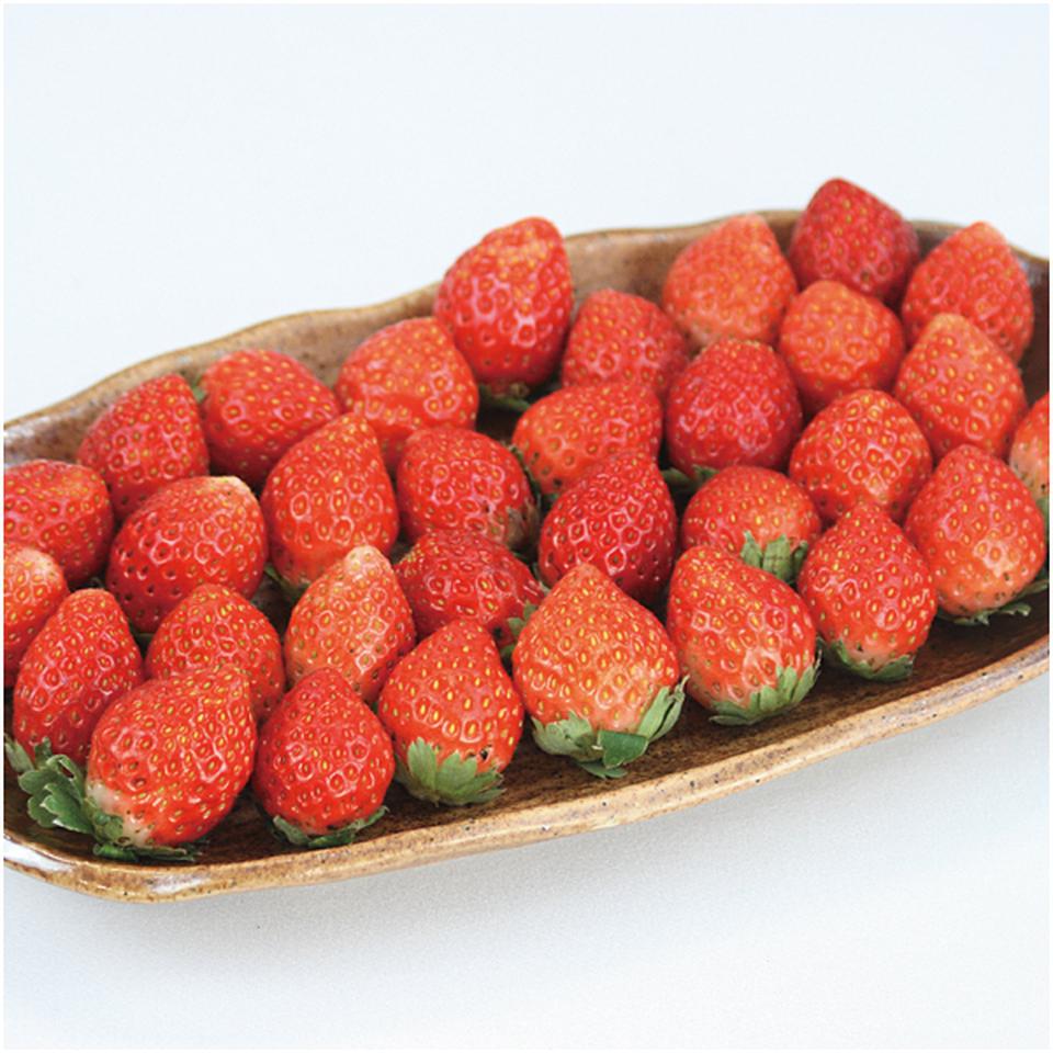 【母の日早得】宮城県産母の日いちご(とちおとめ) 商品画像(1)