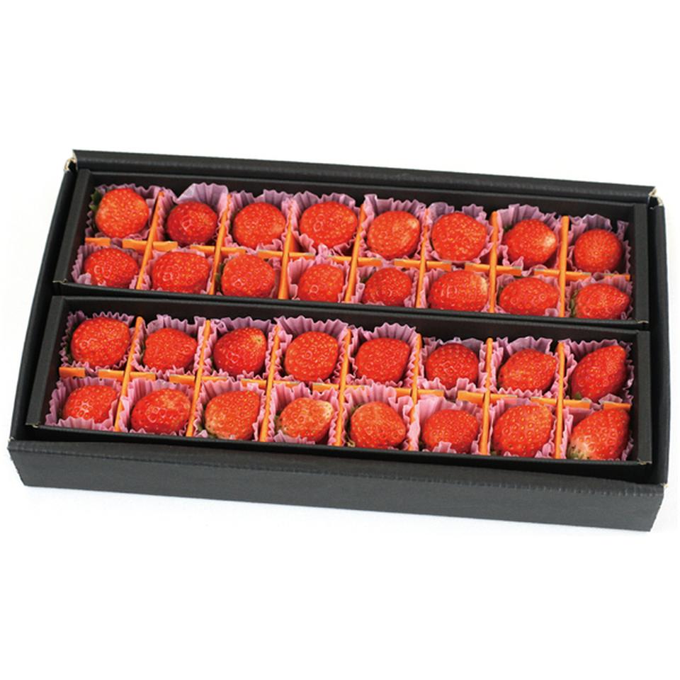 【母の日早得】宮城県産母の日いちご（とちおとめ） 商品サムネイル