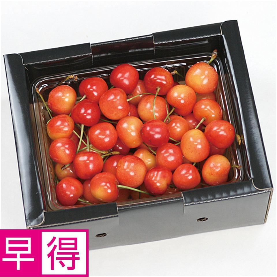 【父の日早得】山形県産さくらんぼ（佐藤錦又は紅秀峰）５００ｇ 商品サムネイル