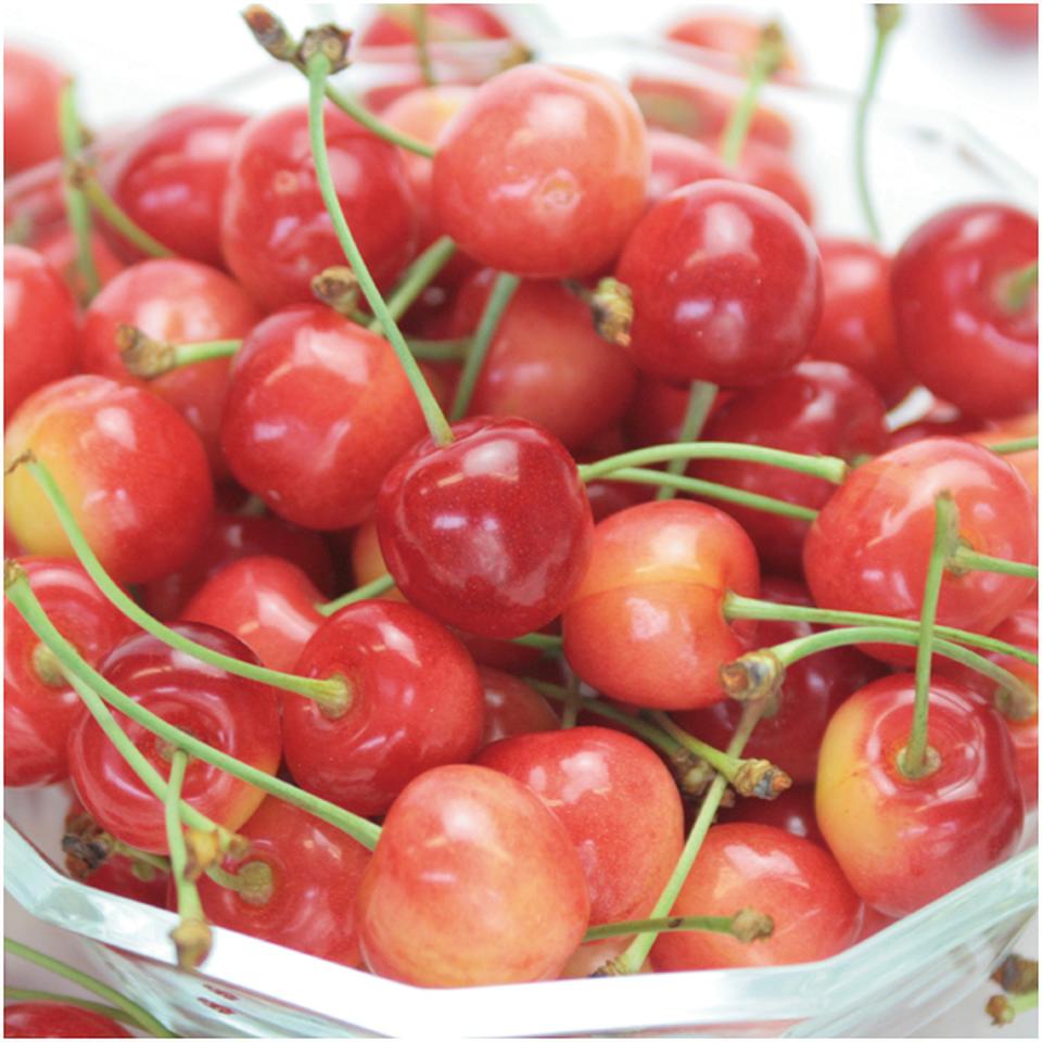 【父の日早得】山形県産さくらんぼ（佐藤錦又は紅秀峰）５００ｇ 商品サムネイル