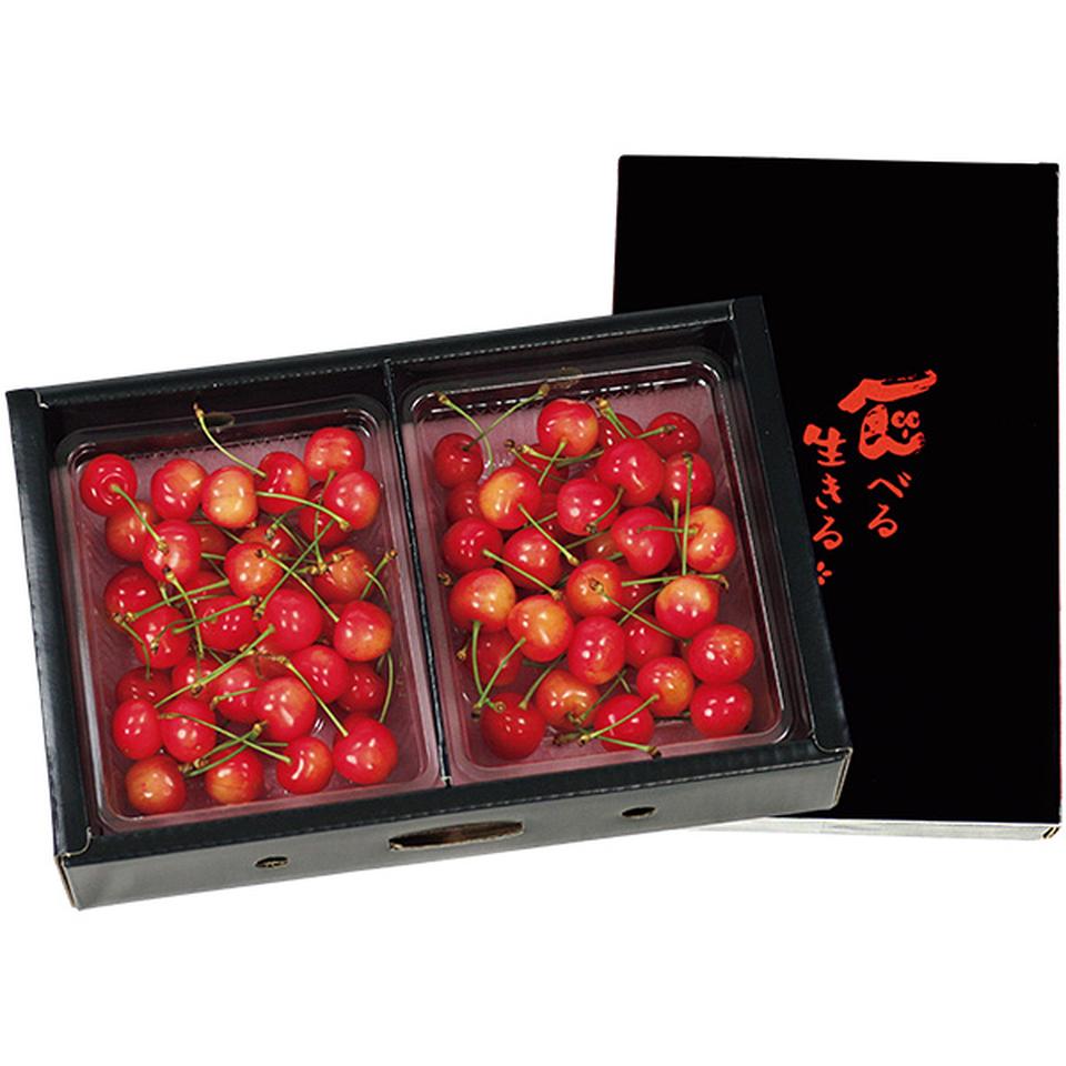 【夏の贈りもの】山形県産　さくらんぼ（佐藤錦） 商品サムネイル