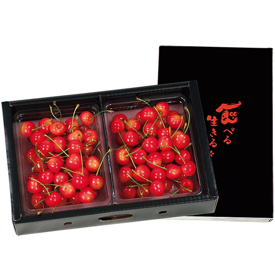 【夏の贈りもの】山形県産　さくらんぼ（佐藤錦又は紅秀峰）秀品Ｌサイズ以上２パック（１パック３００ｇ） 商品サムネイル