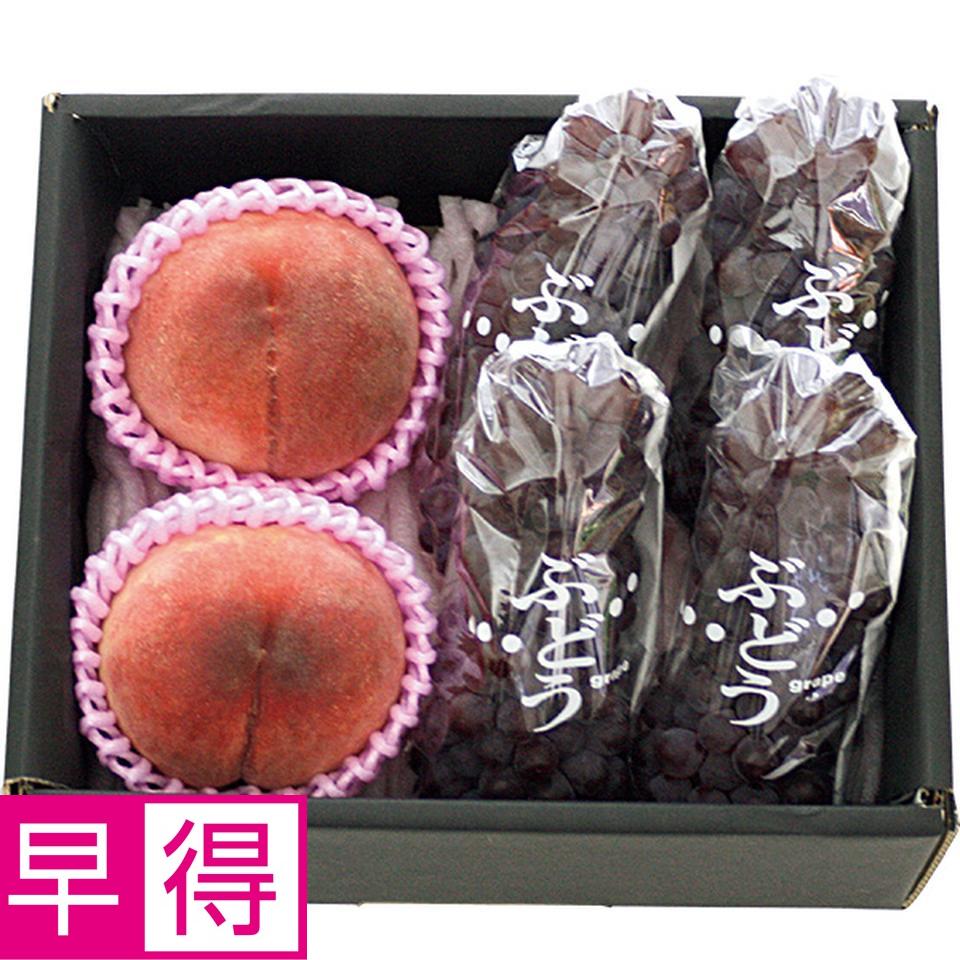 【夏の贈りもの早得】山形県産　白桃とデラウェア 商品サムネイル