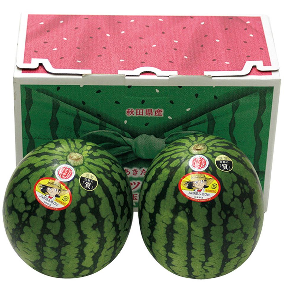 【夏の贈りもの】秋田県産（ＪＡ秋田ふるさと）　あきた夏丸チッチェ 商品サムネイル