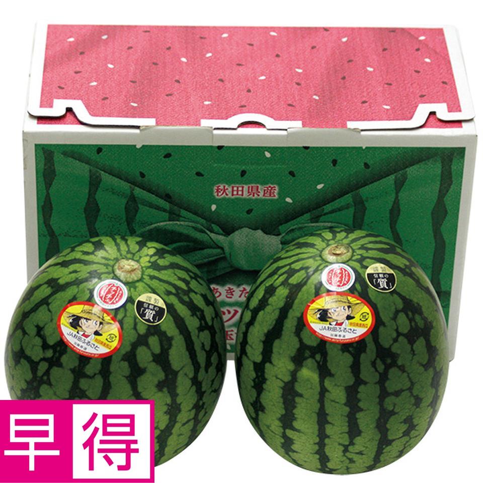 【夏の贈りもの早得】秋田県産（ＪＡ秋田ふるさと）　あきた夏丸チッチェ 商品サムネイル