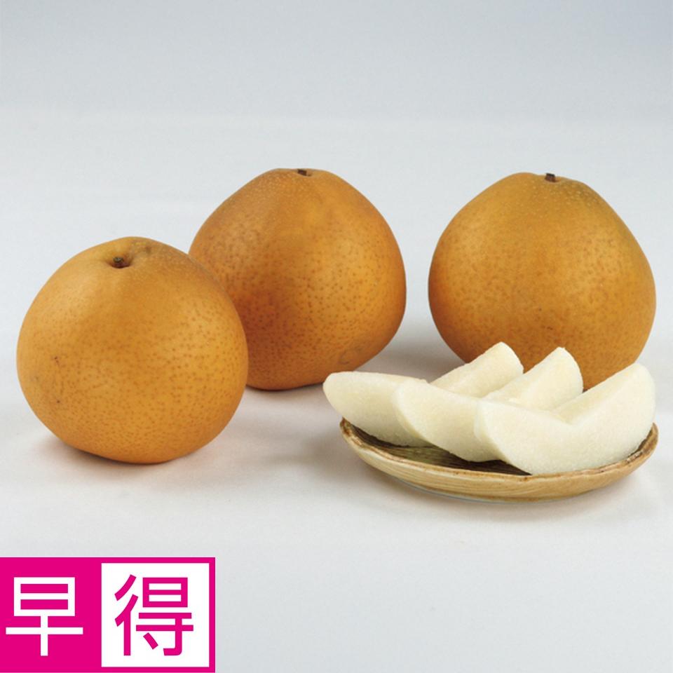 【お歳暮 ギフト早得】福島県産 大玉梨「王秋（おうしゅう）」 商品サムネイル