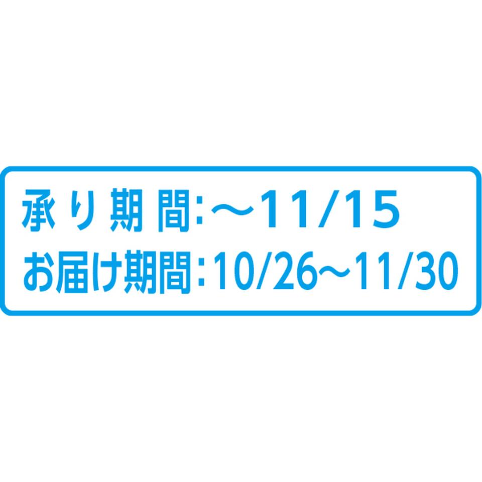 【お歳暮 ギフト】山形県産 無臭ジャンボにんにく 商品画像(1)