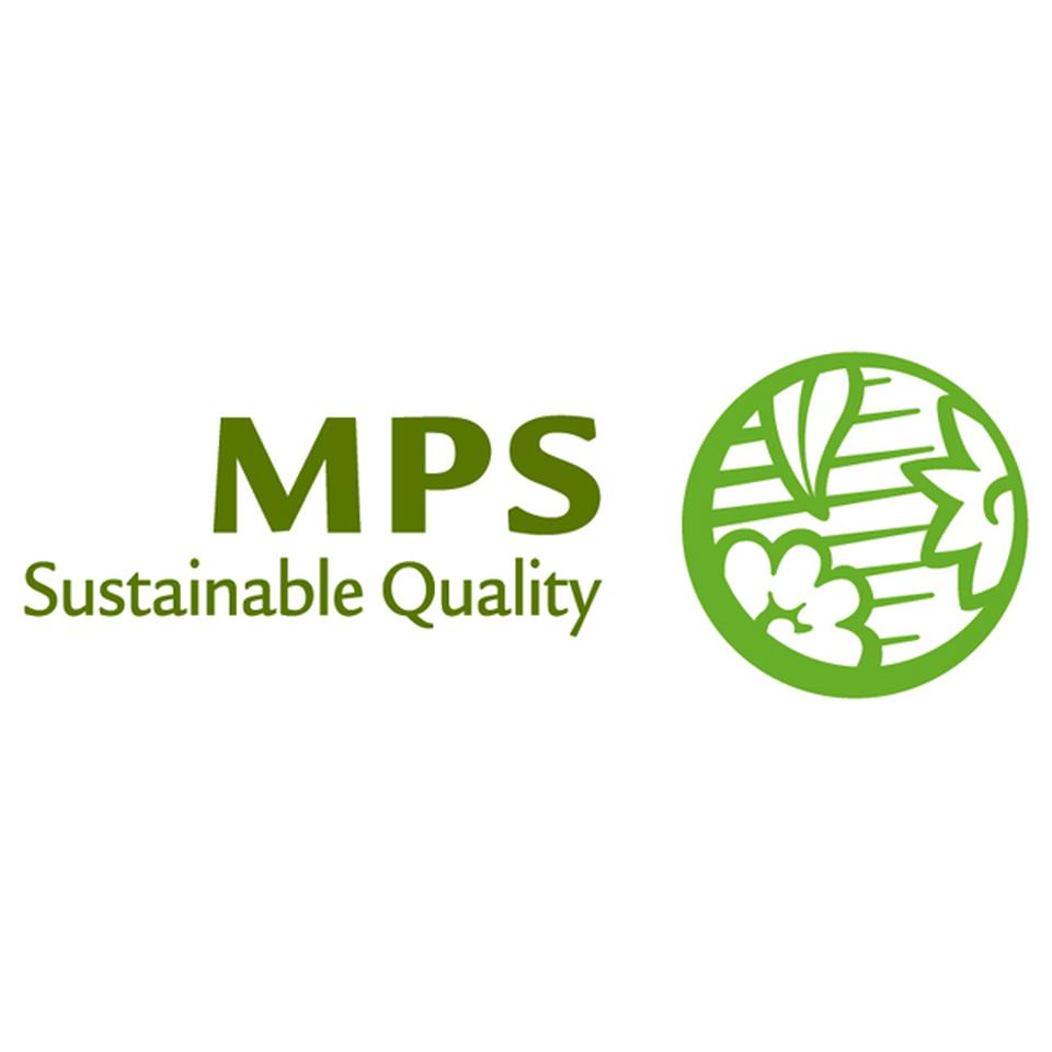 【母の日早得】タカハシプランテーション大輪銅葉ダリア「テンプテーション」レッド(SUSTEE付) 商品画像(1)