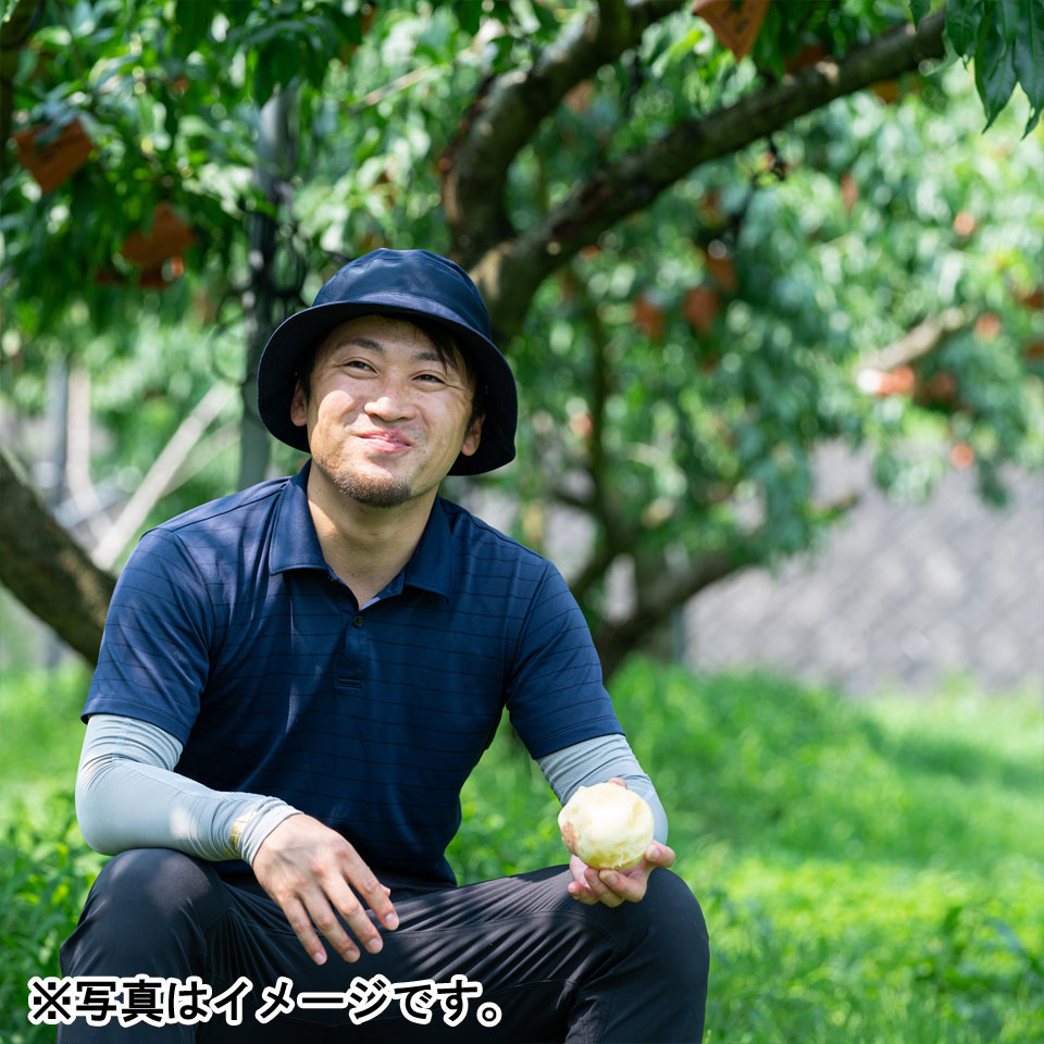 【フルーツギフト】【岐阜】生産者厳選 【特上】飛騨のたからもも 糖度15度以上厳選品 1.5kg(4~6玉入)化粧箱 商品画像(4)