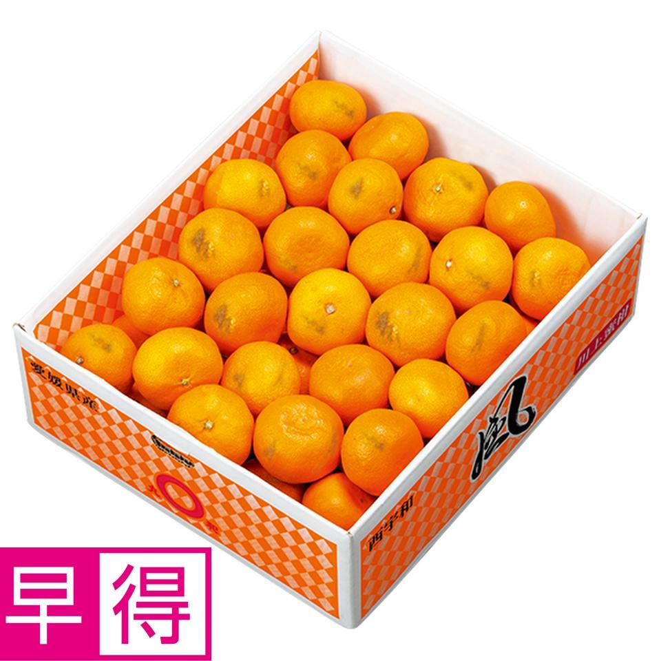 【お歳暮 ギフト早得】愛媛県産（ＪＡにしうわ川上共選） 自宅用　風みかん 商品サムネイル