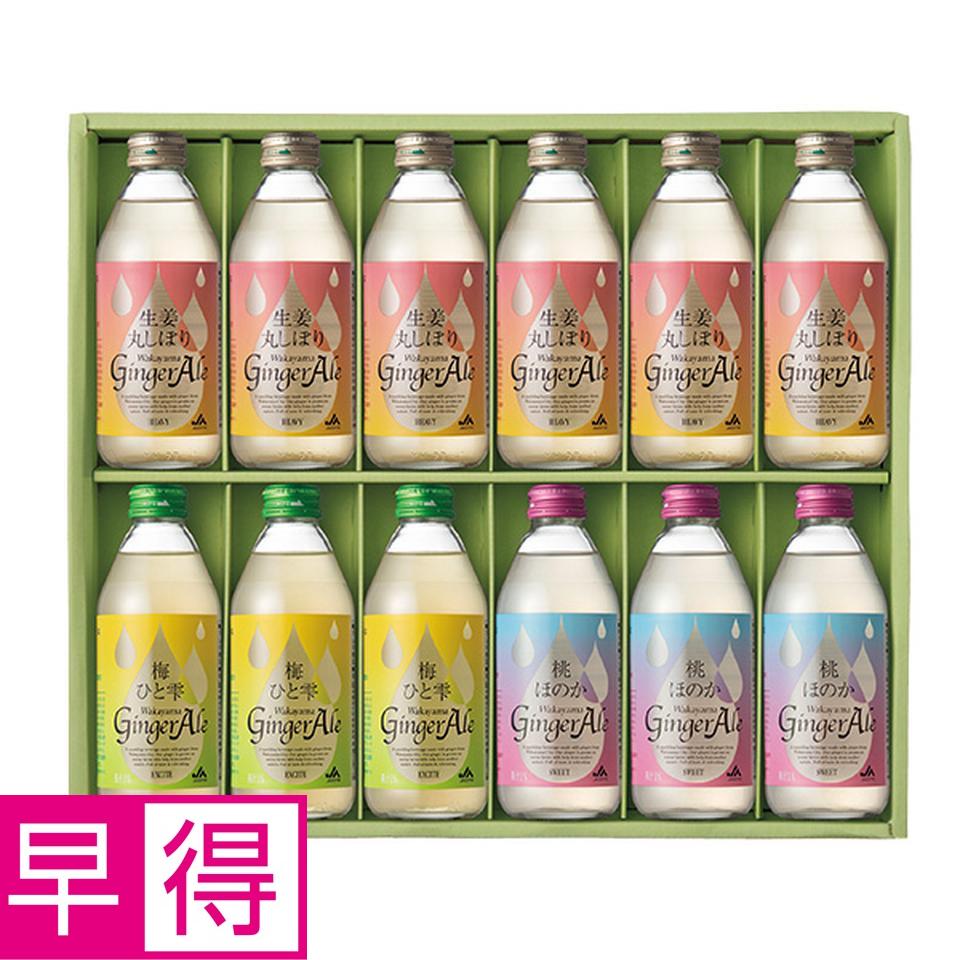 【夏の贈りもの早得】和歌山県農業協同組合　わかやまジンジャーエール　アソートギフト 商品サムネイル
