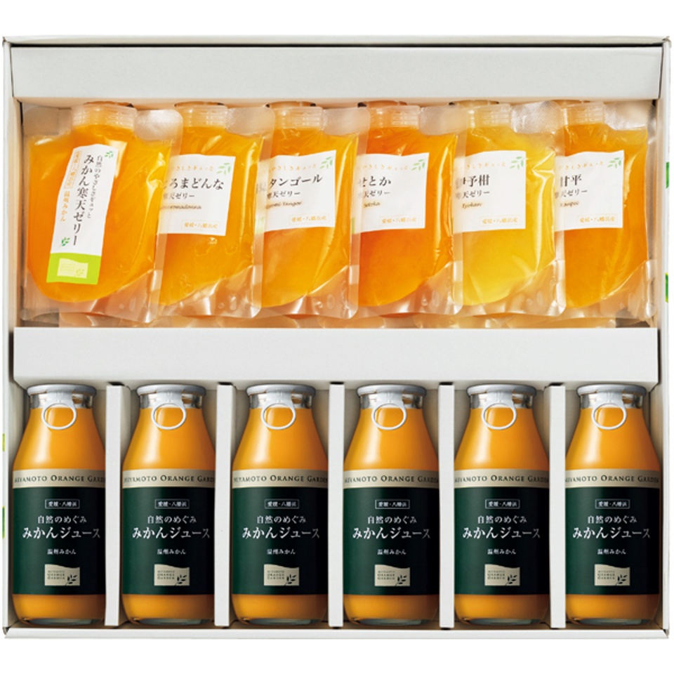 【夏の贈りもの】ミヤモトオレンジガーデン みかんジュース・みかん寒天ゼリー ギフトセット 商品サムネイル