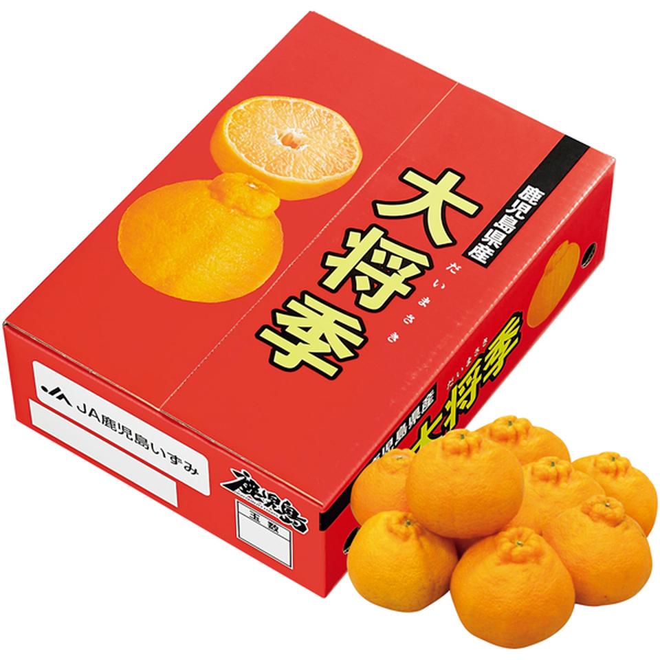 【冬の贈りもの】鹿児島県産（ＪＡ鹿児島いずみ） 大将季 商品サムネイル