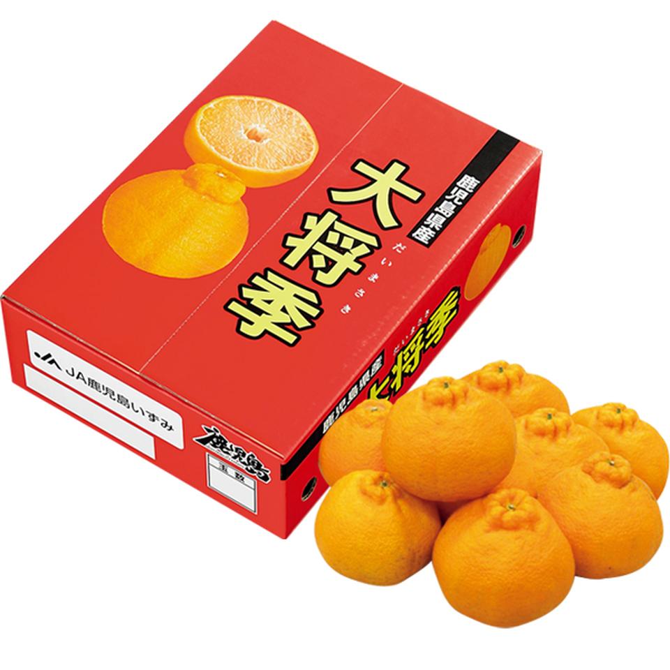 【お歳暮 ギフト】鹿児島県産（ＪＡ鹿児島いずみ） 大将季 商品サムネイル
