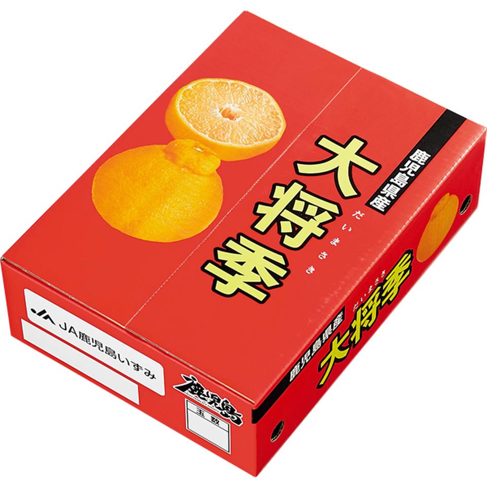 【お歳暮 ギフト】鹿児島県産(JA鹿児島いずみ) 大将季 商品画像(2)