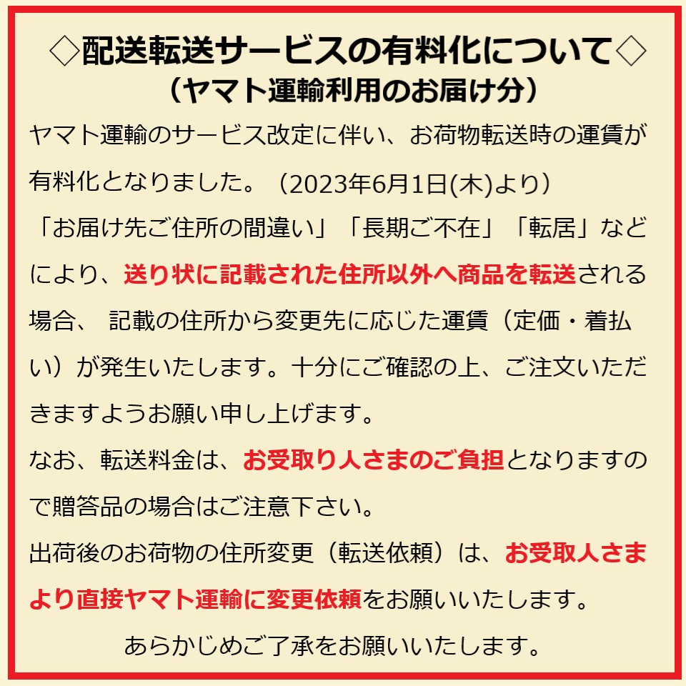 【静岡 ワダイコ】【駿河レモン堂】塩漬けレモン 100gパウチ 商品画像(3)