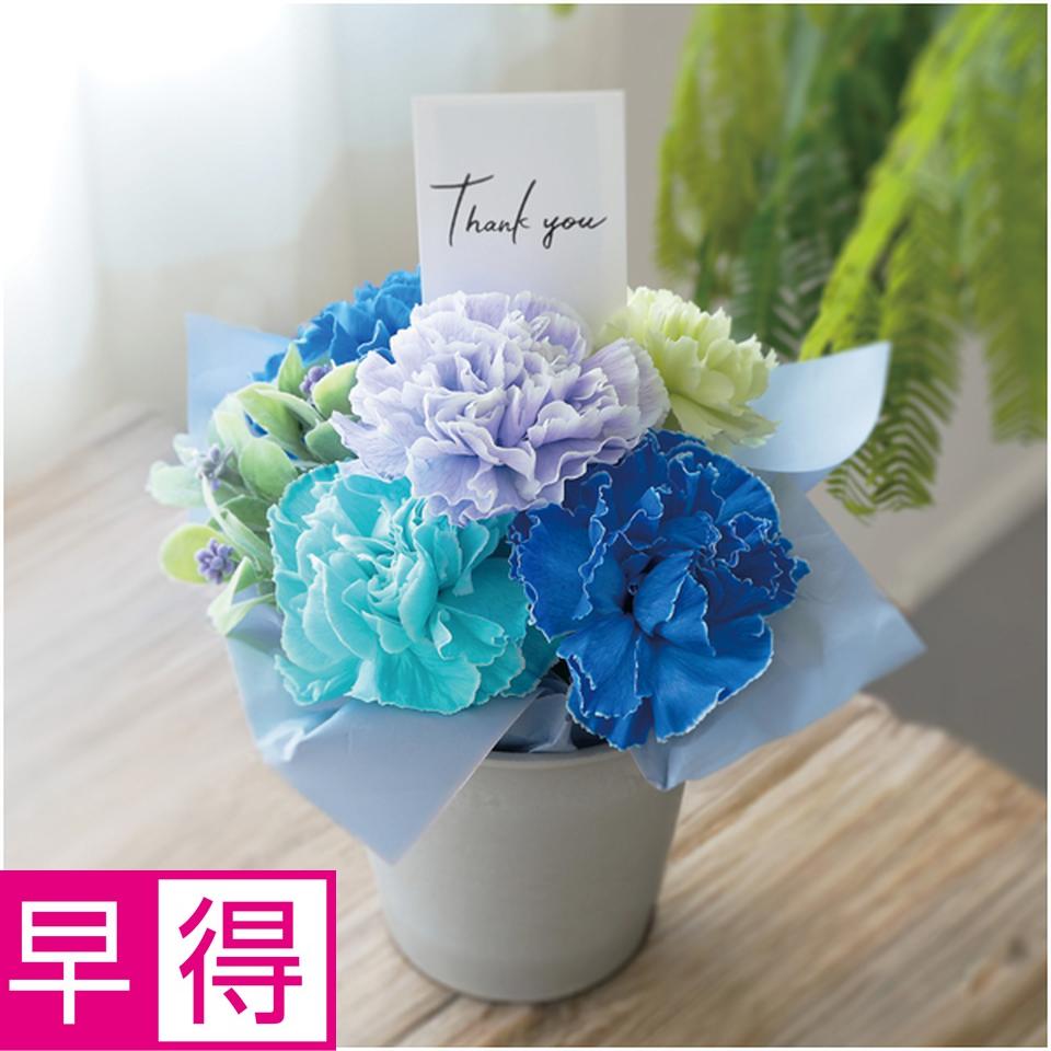 【母の日早得】竹中庭園緑化フラワーアレンジ「アクアパープル」 商品サムネイル