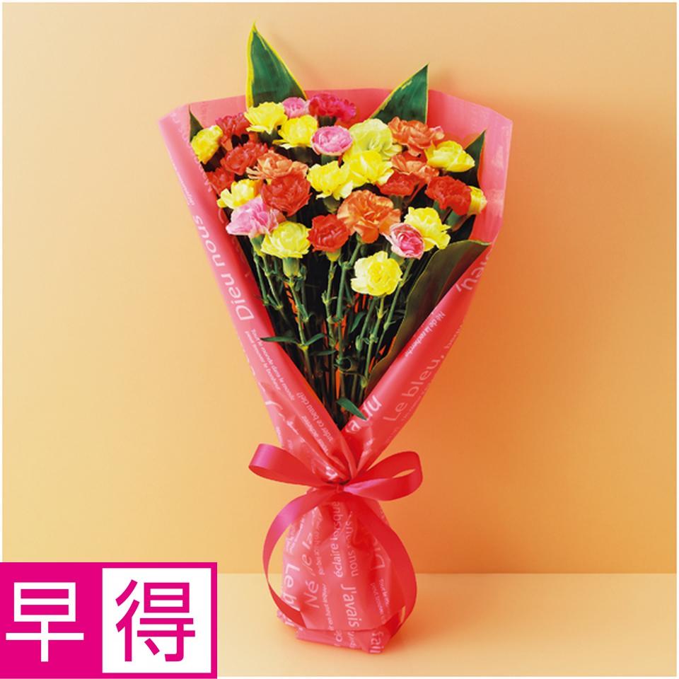 【母の日早得】竹中庭園緑化彩りカーネーションブーケ 商品サムネイル