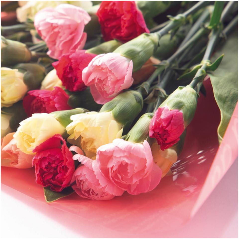 【母の日早得】竹中庭園緑化彩りカーネーションブーケ 商品画像(1)
