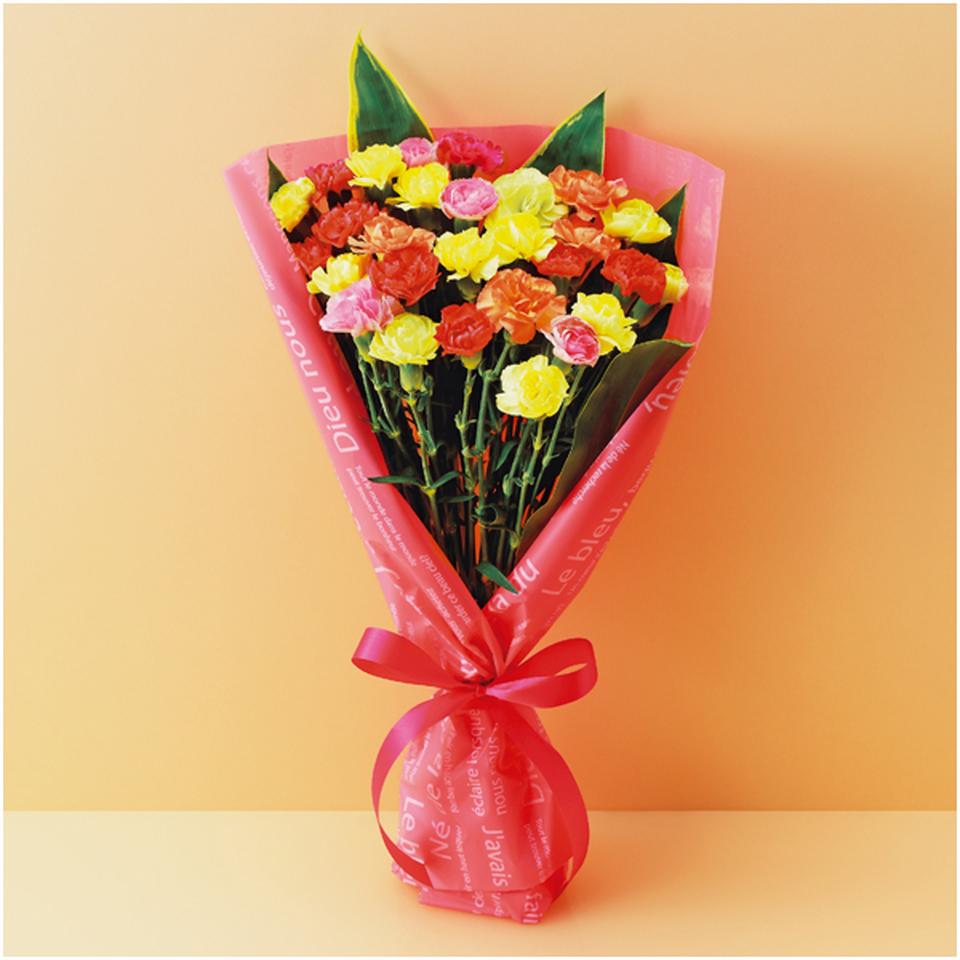 【母の日早得】竹中庭園緑化彩りカーネーションブーケ 商品サムネイル