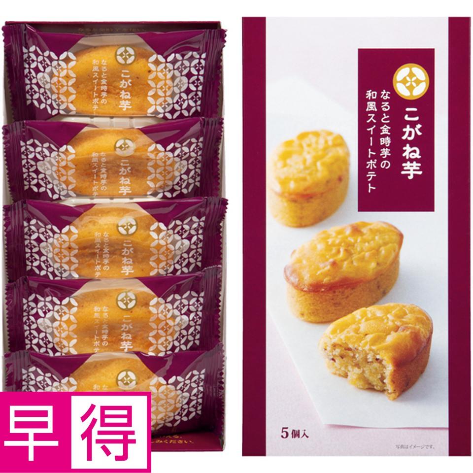 【母の日早得】竹中庭園緑化母の日カーネーションアレンジ＋ひととえ　こがね芋 商品サムネイル