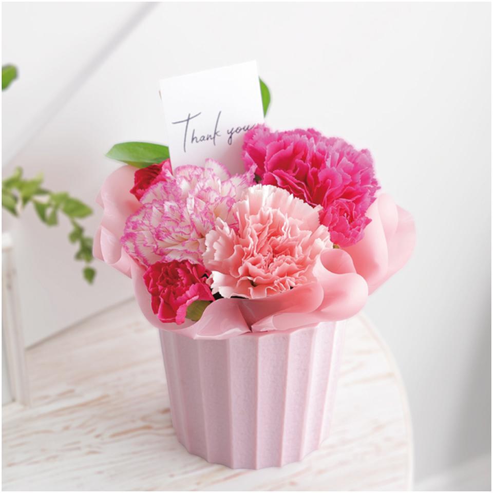 【母の日早得】竹中庭園緑化母の日カーネーションアレンジ+ひととえ スイーツファクトリー 商品画像(2)